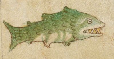 Golden-toother fish.png